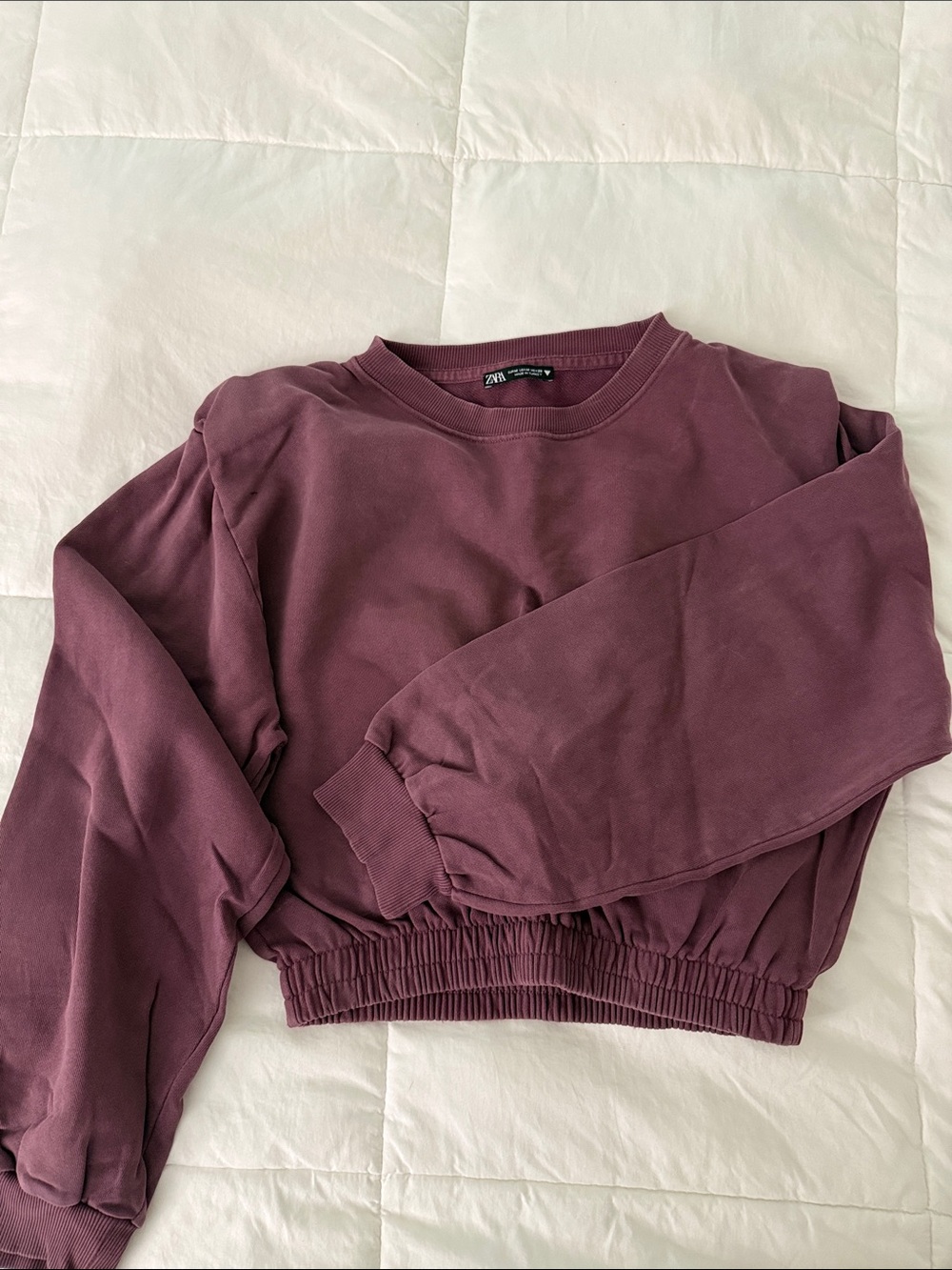Zara Dusty Plum Cropped Sweatshirt
